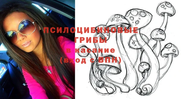 меф Белокуриха
