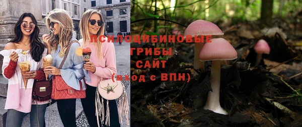 меф Белокуриха