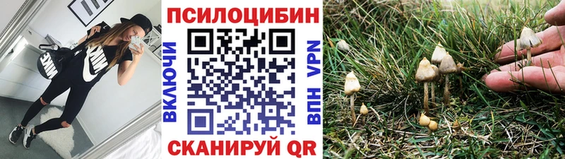 купить наркоту  Тула  Псилоцибиновые грибы Cubensis 